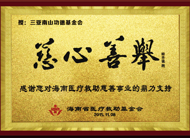 海南三亞南山功德基金會(huì)獲海南醫(yī)療救助基金會(huì)頒發(fā)“慈心善舉”牌匾